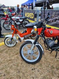 Moped Xtreme 2023_005